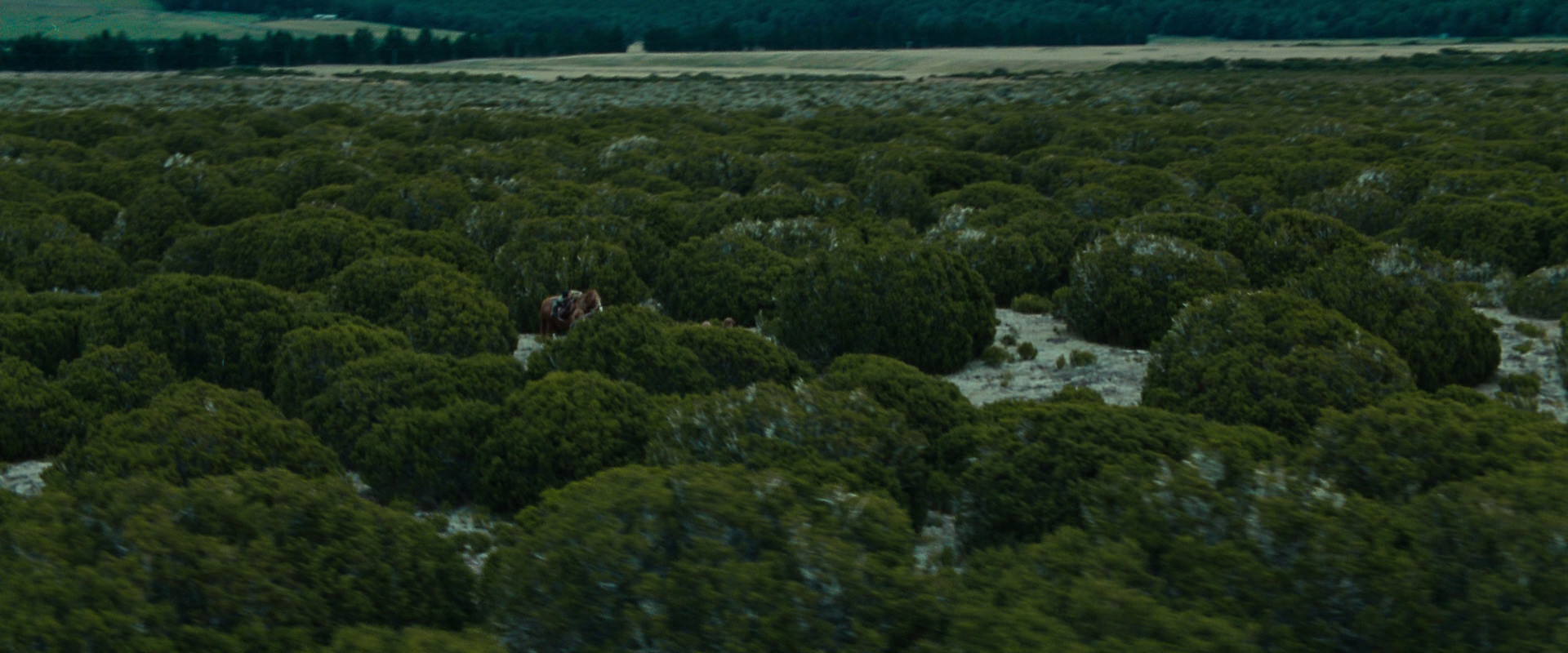 The Lord of the Rings: The Fellowship of the Ring (2001) HD screenshot 7820