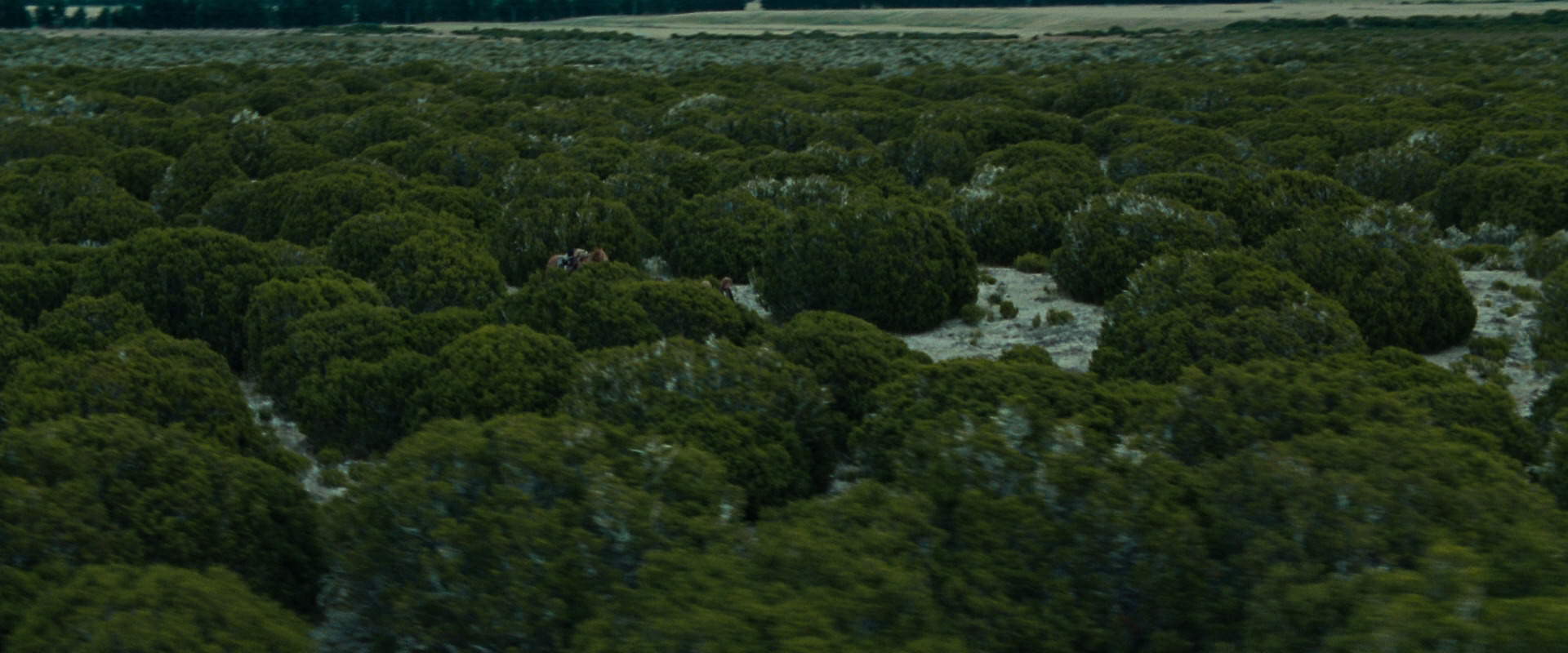 The Lord of the Rings: The Fellowship of the Ring (2001) screencap 7821