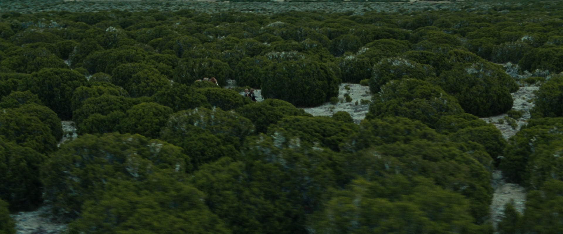 The Lord of the Rings: The Fellowship of the Ring (2001) movie still 7822