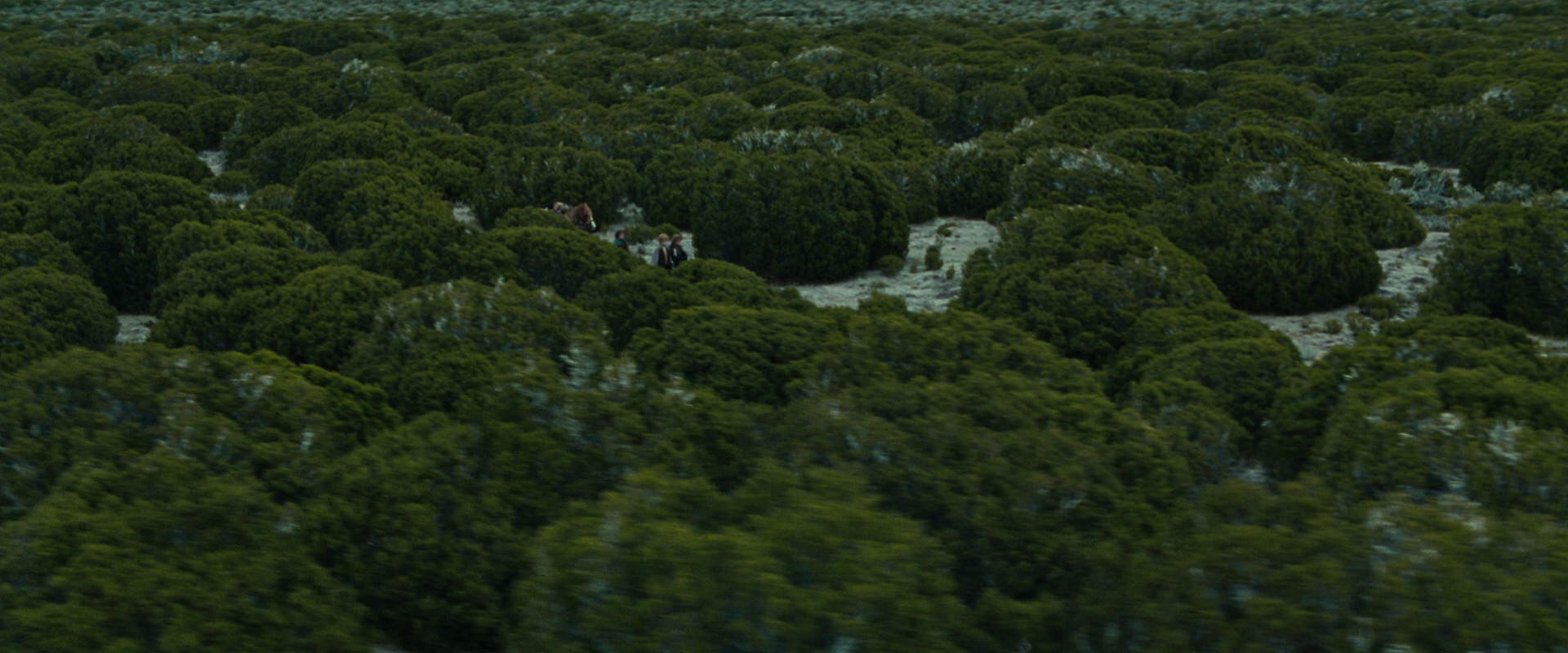 The Lord of the Rings: The Fellowship of the Ring (2001) HD screenshot 7823