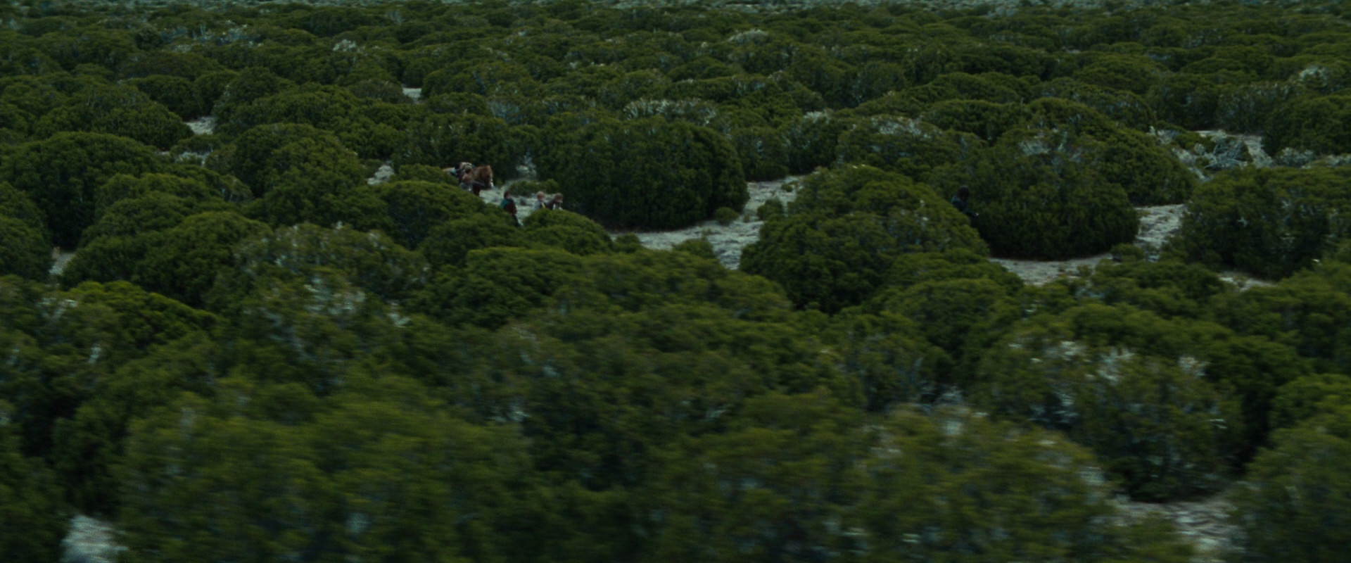 The Lord of the Rings: The Fellowship of the Ring (2001) screencap 7824