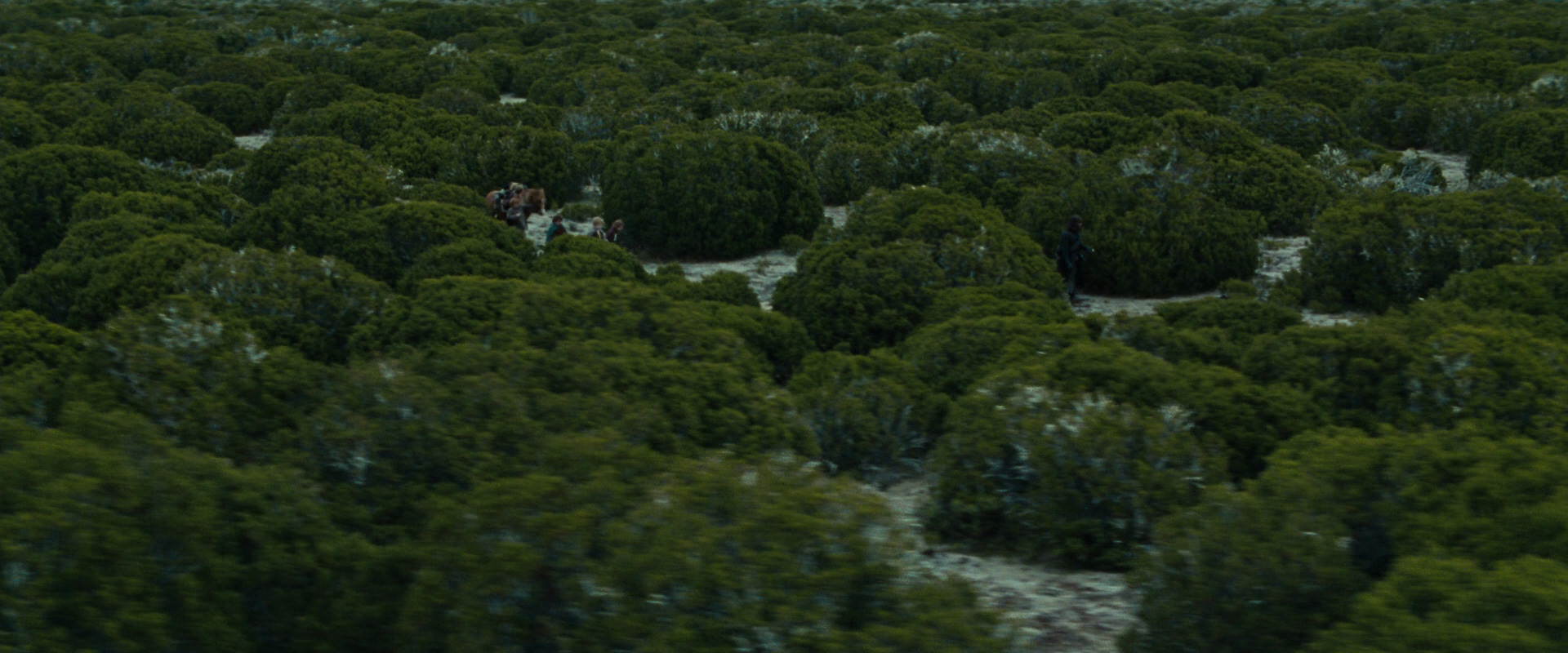 The Lord of the Rings: The Fellowship of the Ring (2001) movie still 7825
