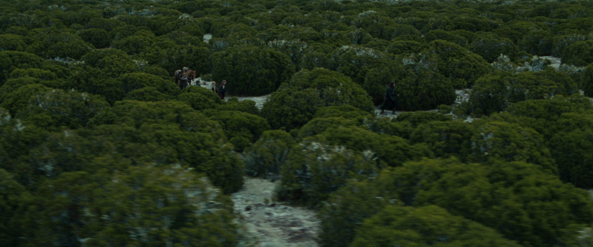The Lord of the Rings: The Fellowship of the Ring (2001) HD screenshot 7826