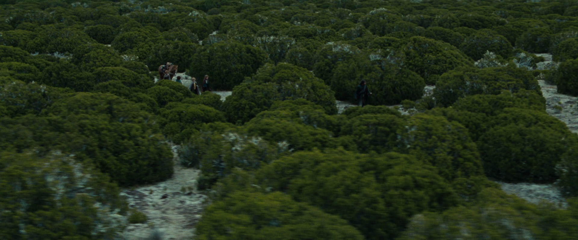 The Lord of the Rings: The Fellowship of the Ring (2001) screencap 7827