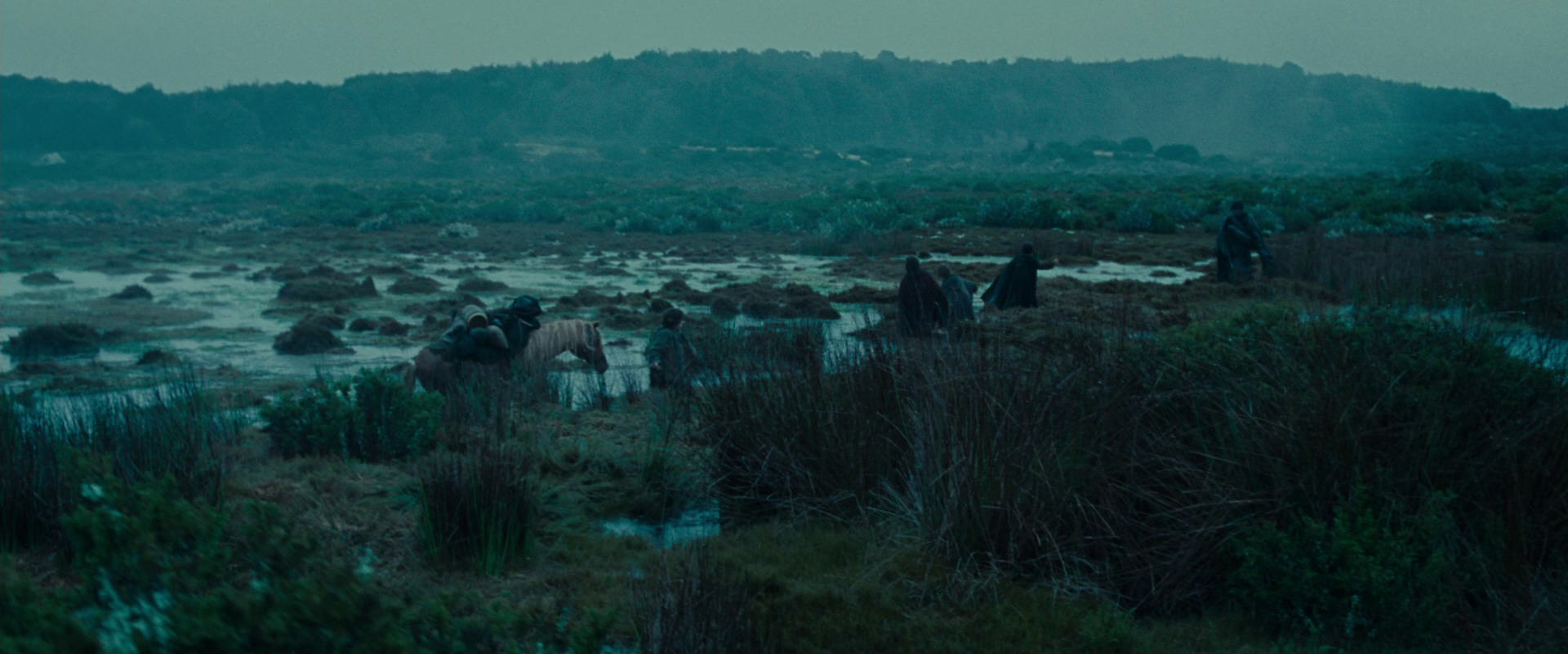 The Lord of the Rings: The Fellowship of the Ring (2001) HD screenshot 7832