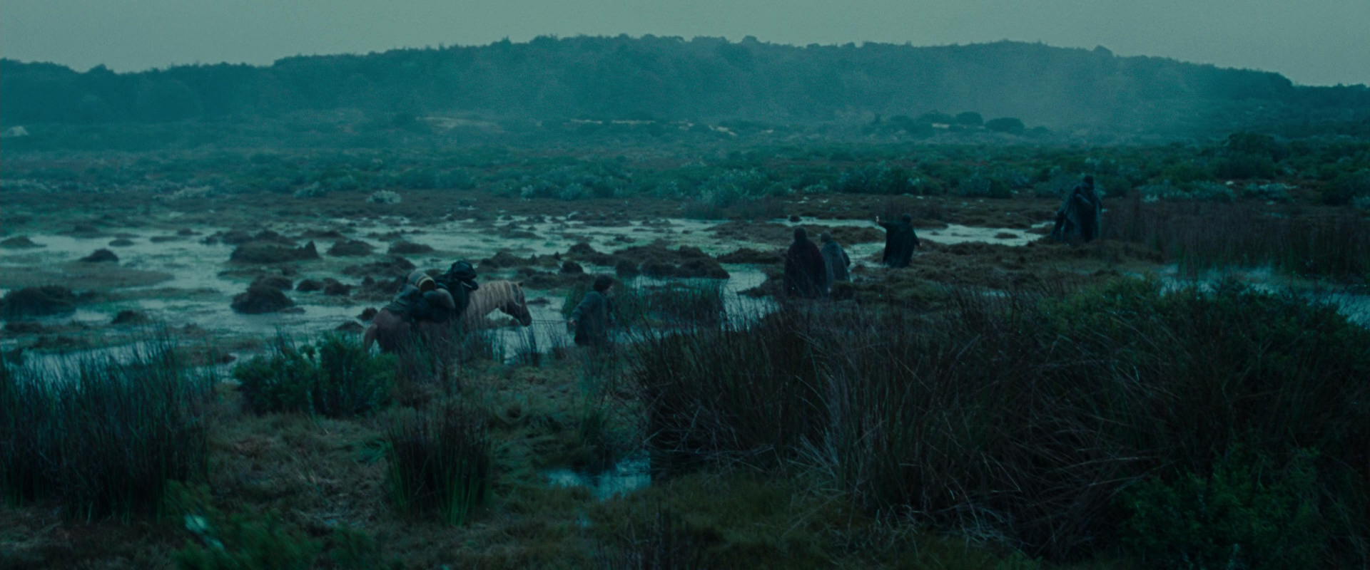 The Lord of the Rings: The Fellowship of the Ring (2001) screencap 7833