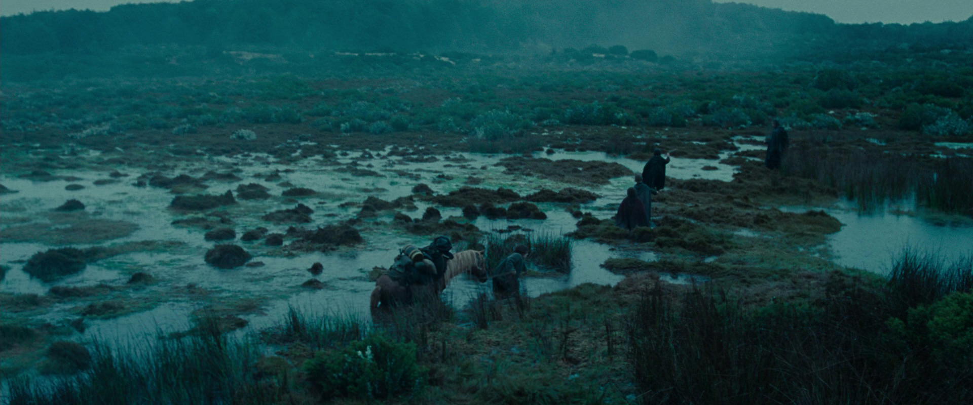 The Lord of the Rings: The Fellowship of the Ring (2001) screencap 7839