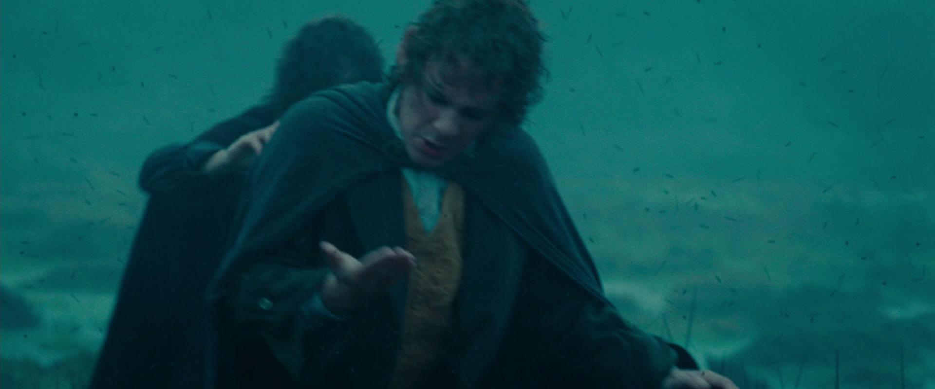 The Lord of the Rings: The Fellowship of the Ring (2001) screencap 7845