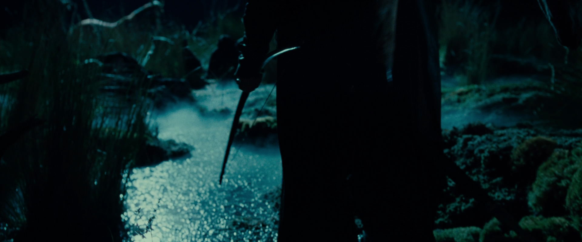 The Lord of the Rings: The Fellowship of the Ring (2001) screencap 7863