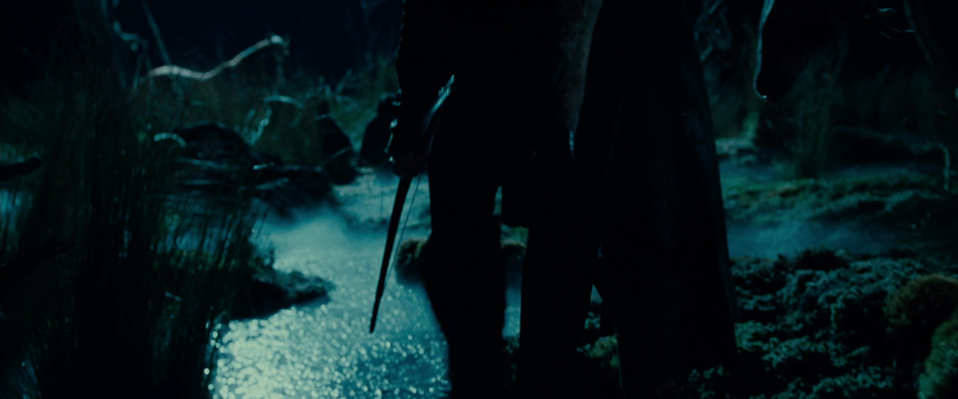 The Lord of the Rings: The Fellowship of the Ring (2001) movie still 7864