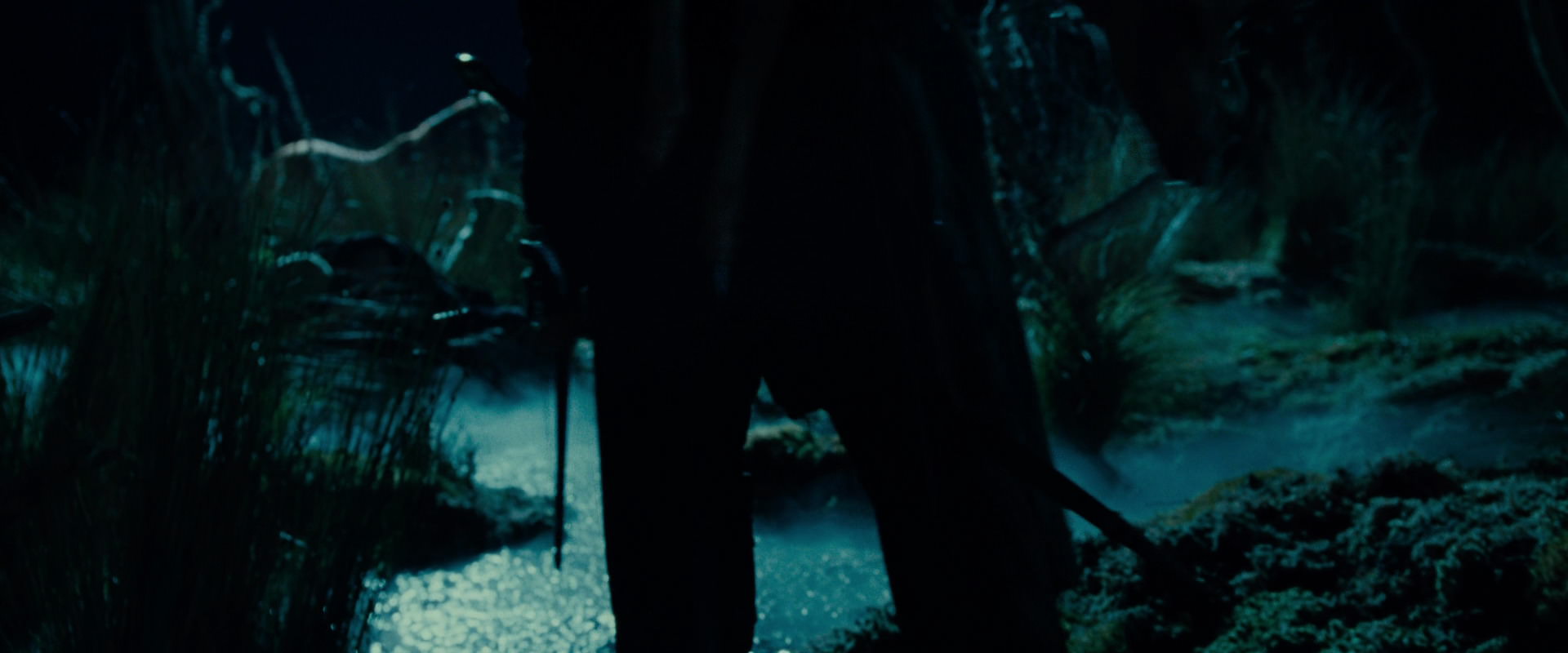The Lord of the Rings: The Fellowship of the Ring (2001) HD screenshot 7865