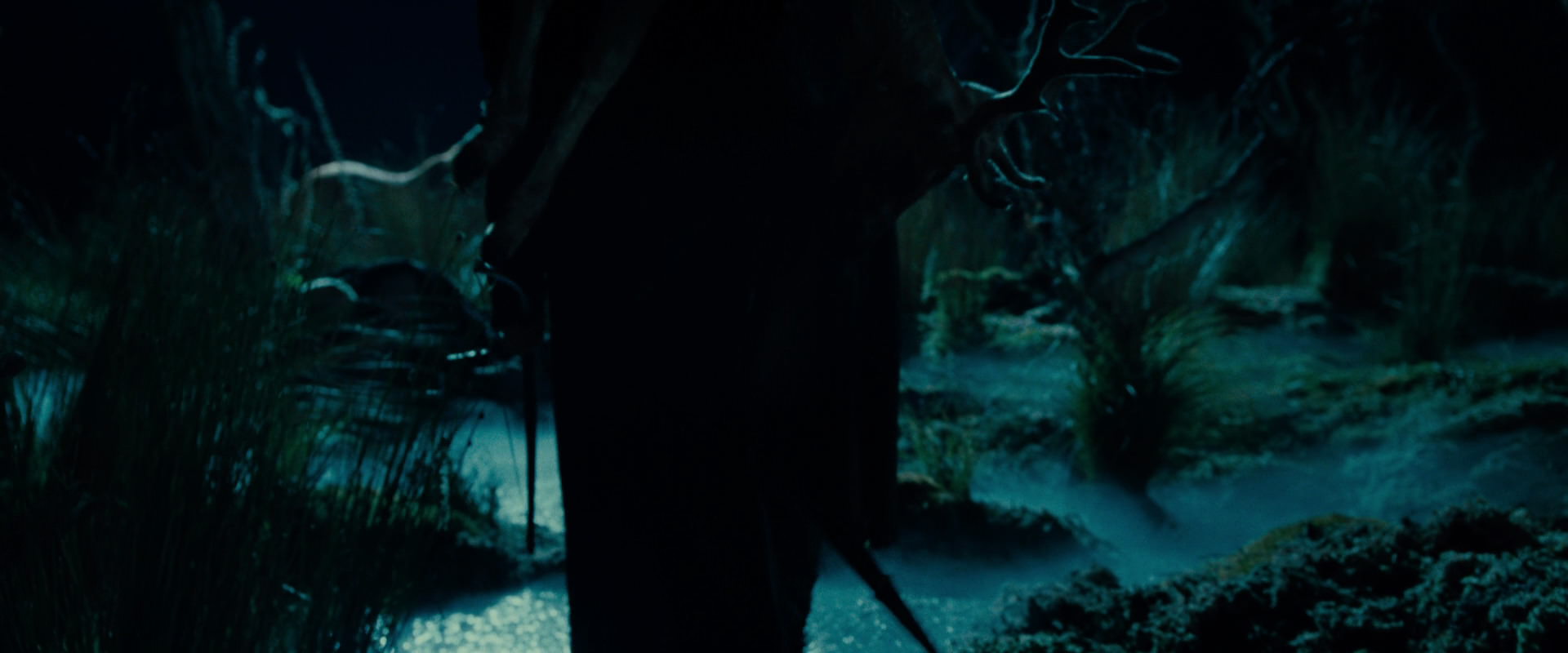 The Lord of the Rings: The Fellowship of the Ring (2001) screencap 7866