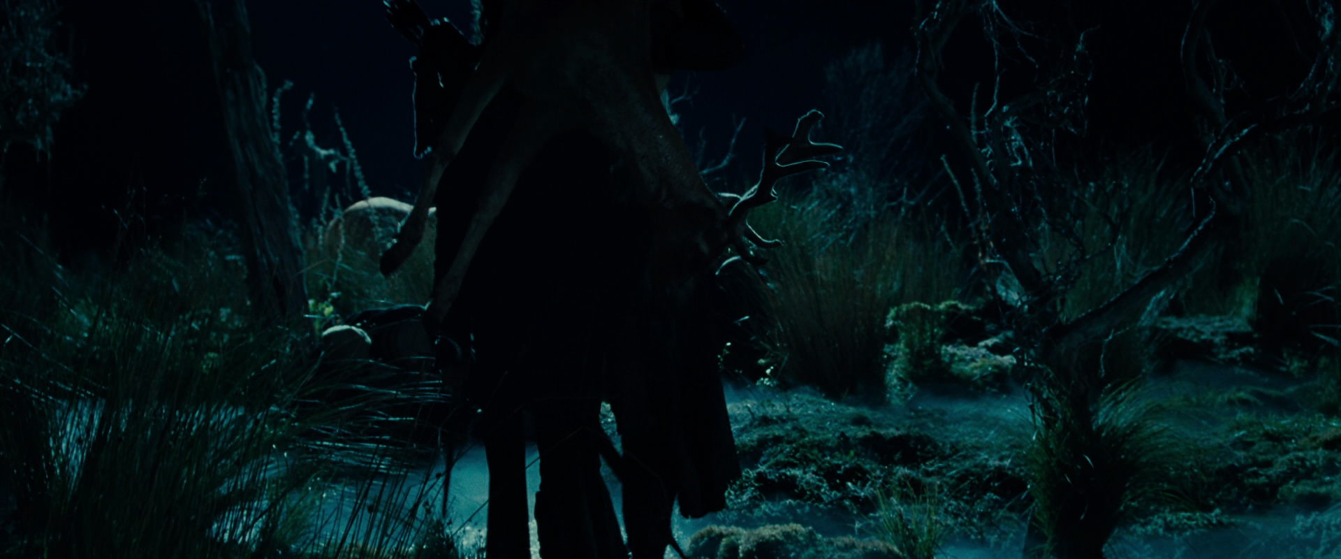 The Lord of the Rings: The Fellowship of the Ring (2001) screencap 7869