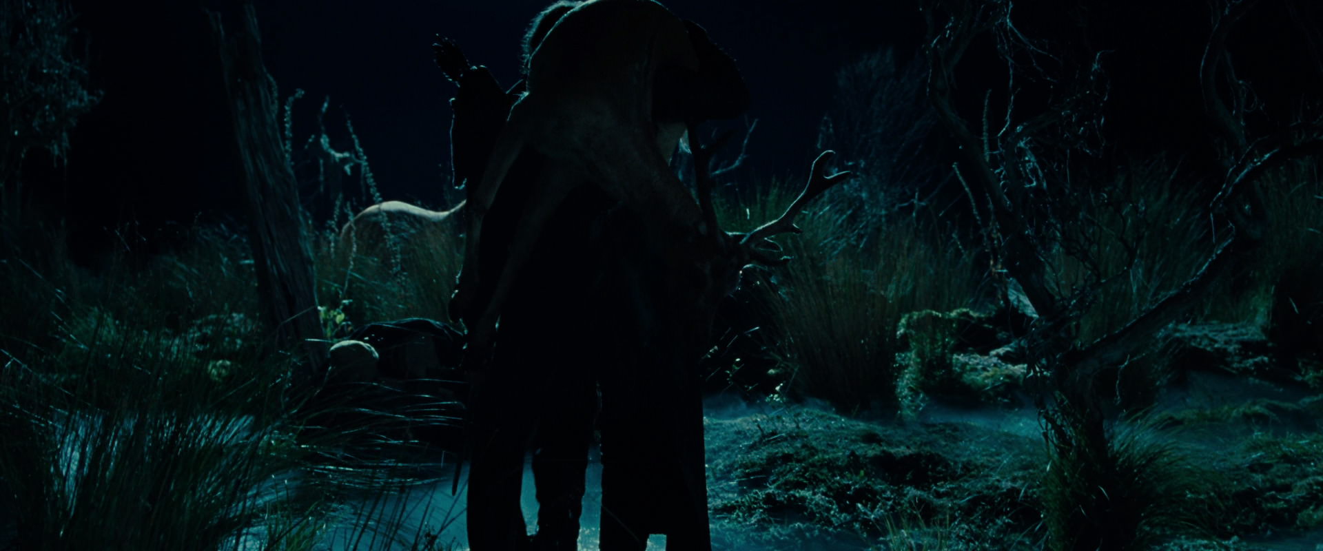 The Lord of the Rings: The Fellowship of the Ring (2001) movie still 7870