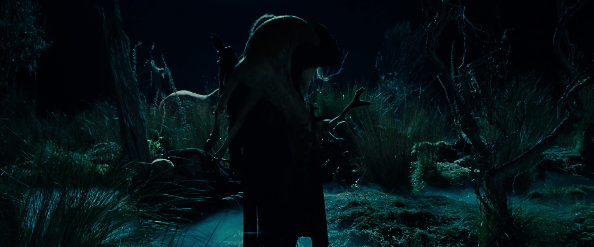 The Lord of the Rings: The Fellowship of the Ring (2001) HD screenshot 7871