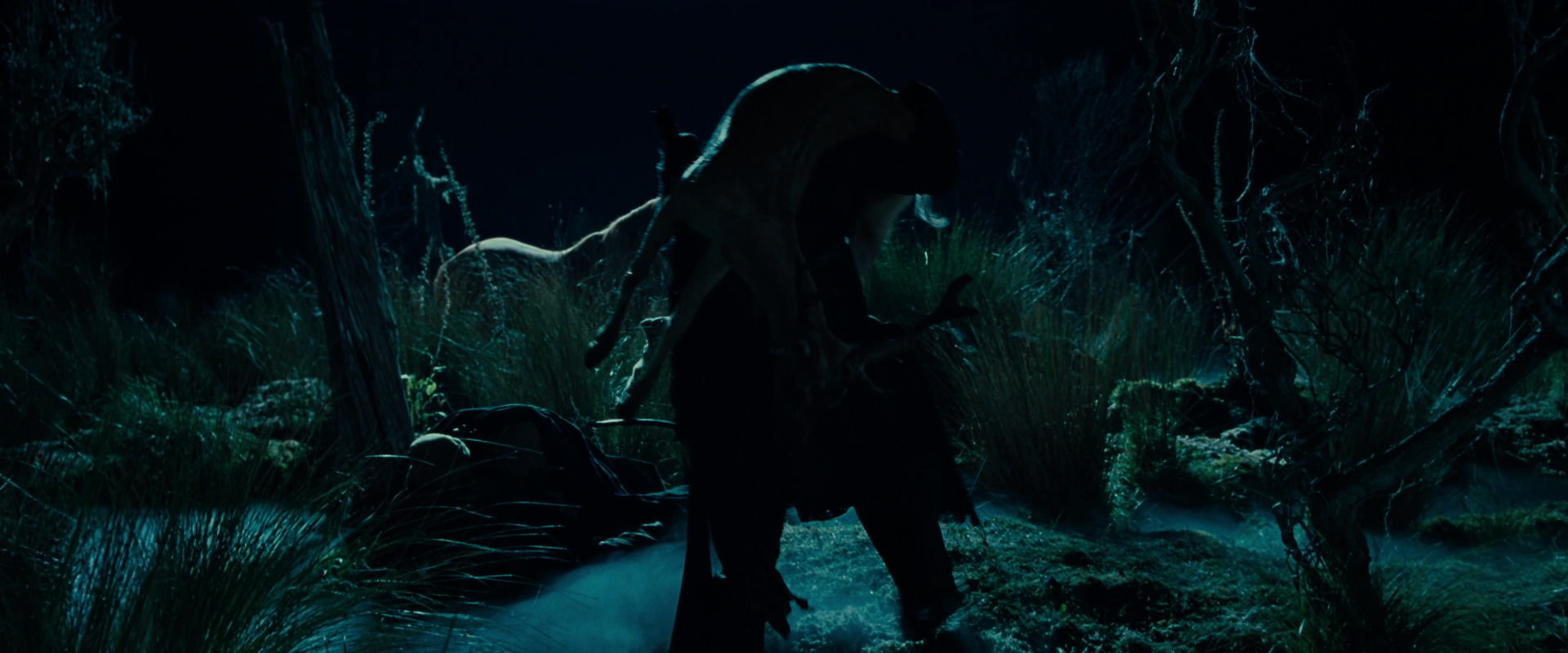The Lord of the Rings: The Fellowship of the Ring (2001) screencap 7872