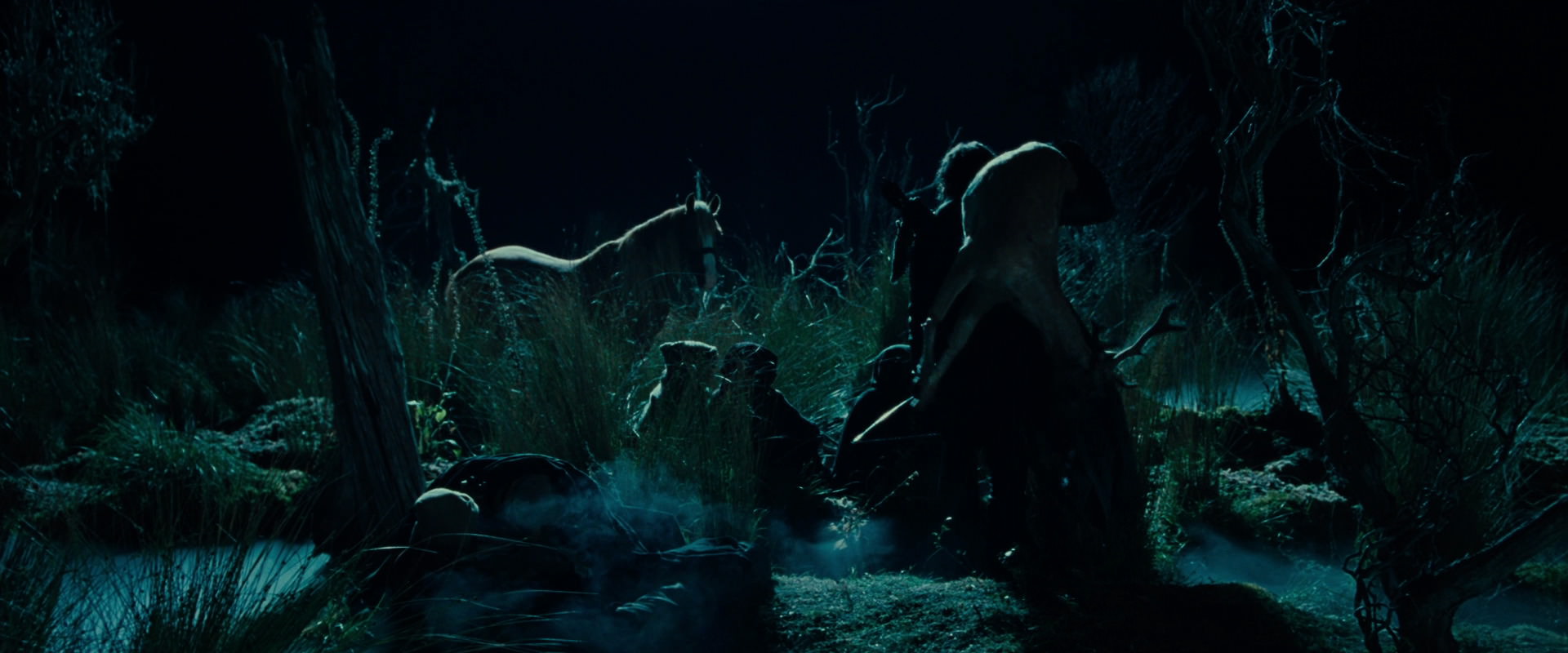 The Lord of the Rings: The Fellowship of the Ring (2001) screencap 7878