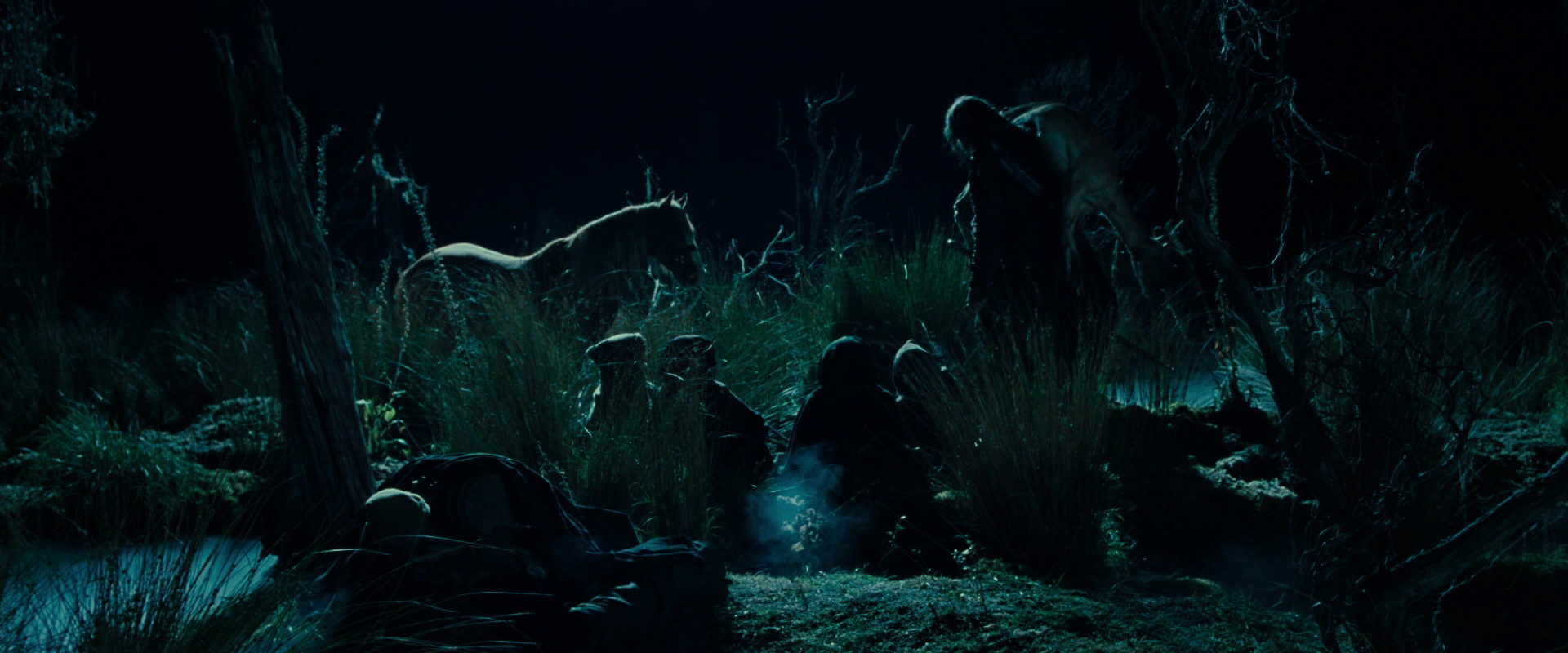 The Lord of the Rings: The Fellowship of the Ring (2001) screencap 7884