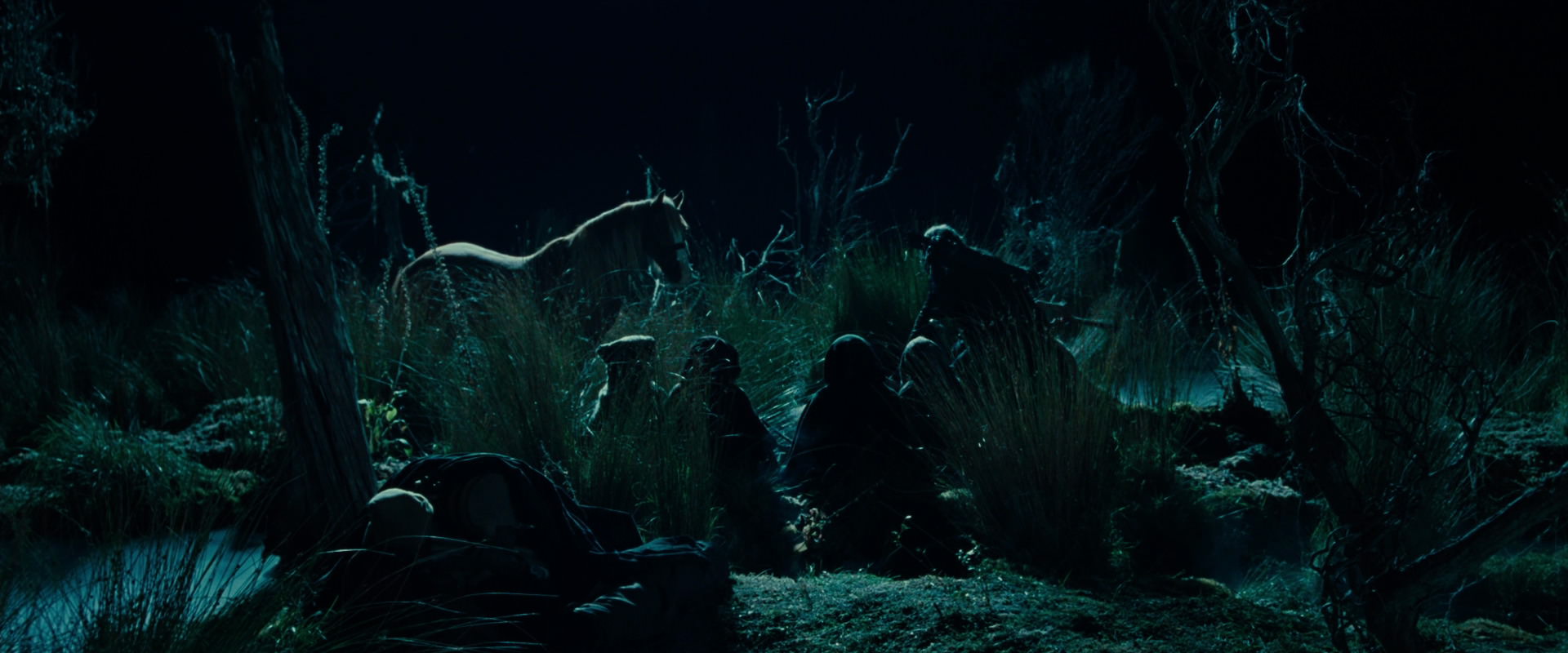The Lord of the Rings: The Fellowship of the Ring (2001) screencap 7890