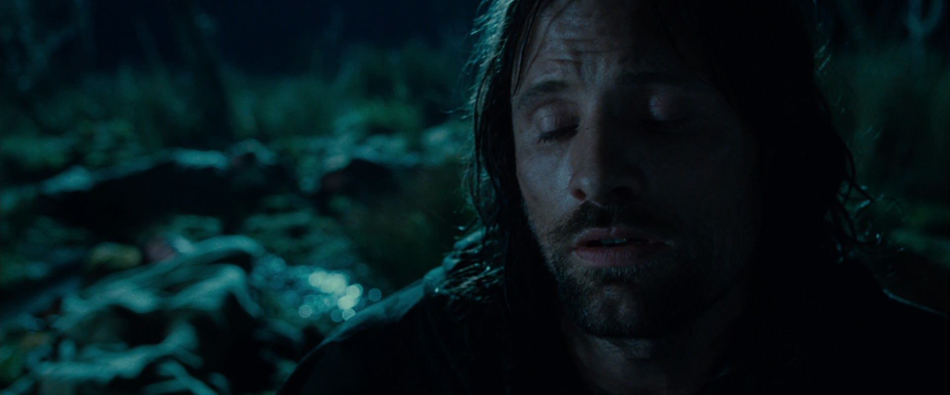 The Lord of the Rings: The Fellowship of the Ring (2001) screencap 7914