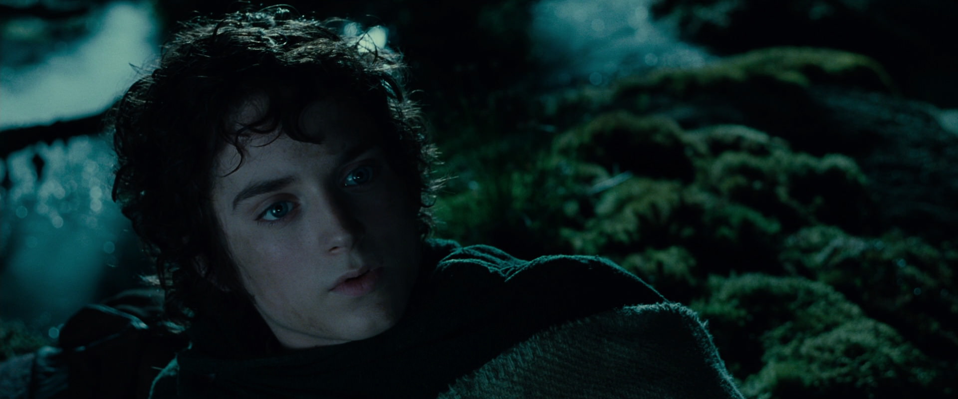 The Lord of the Rings: The Fellowship of the Ring (2001) HD screenshot 7931