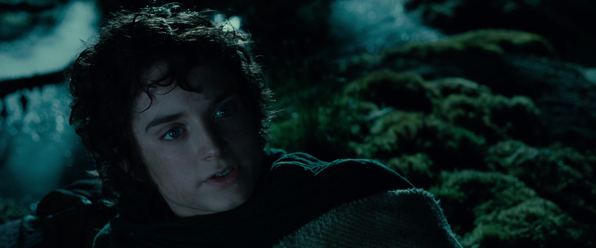 The Lord of the Rings: The Fellowship of the Ring (2001) screencap 7932