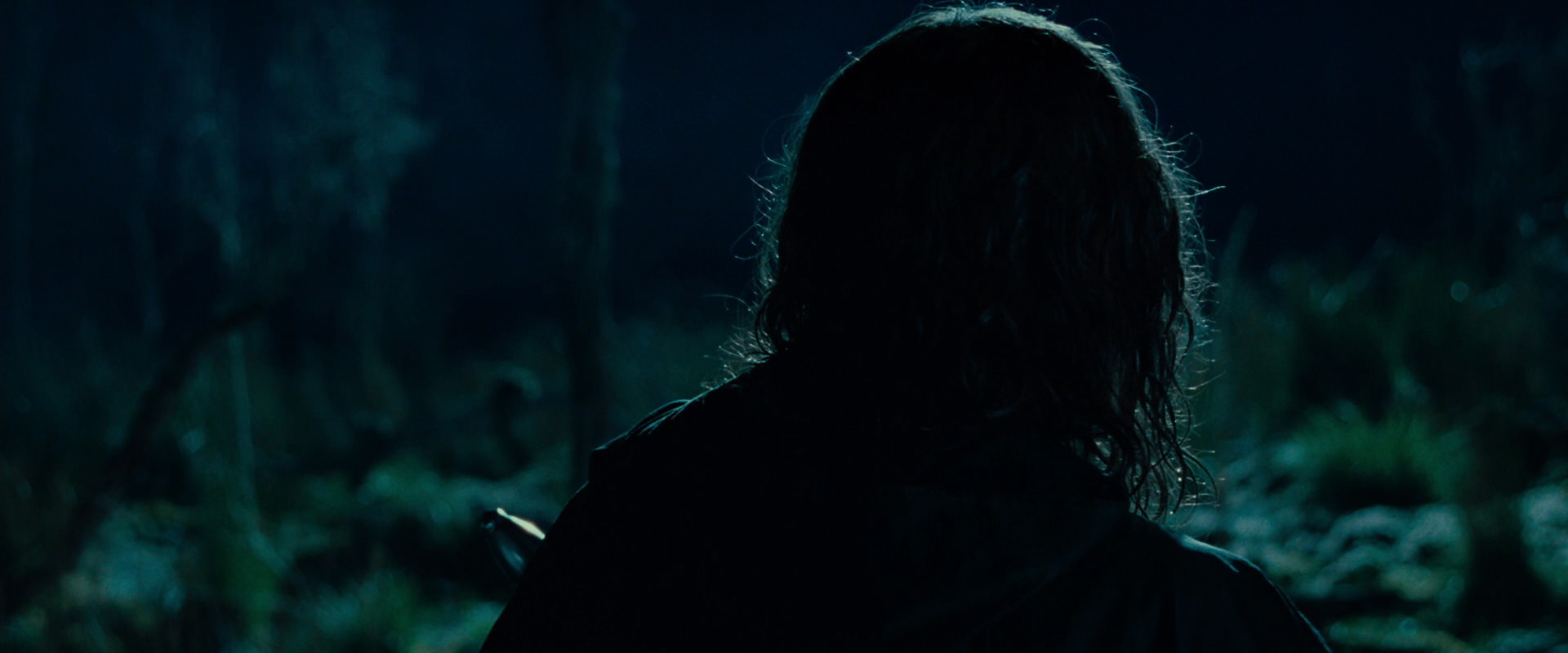 The Lord of the Rings: The Fellowship of the Ring (2001) movie still 7933