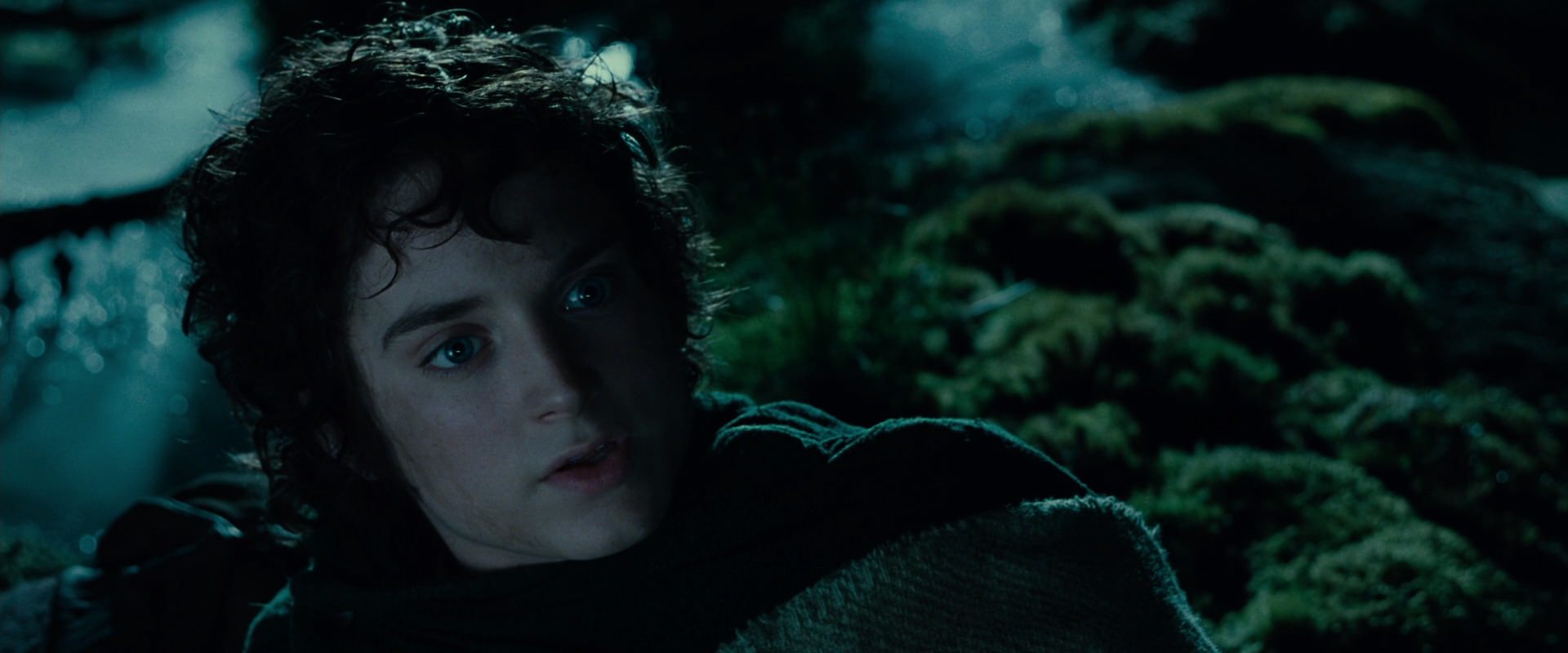 The Lord of the Rings: The Fellowship of the Ring (2001) screencap 7938