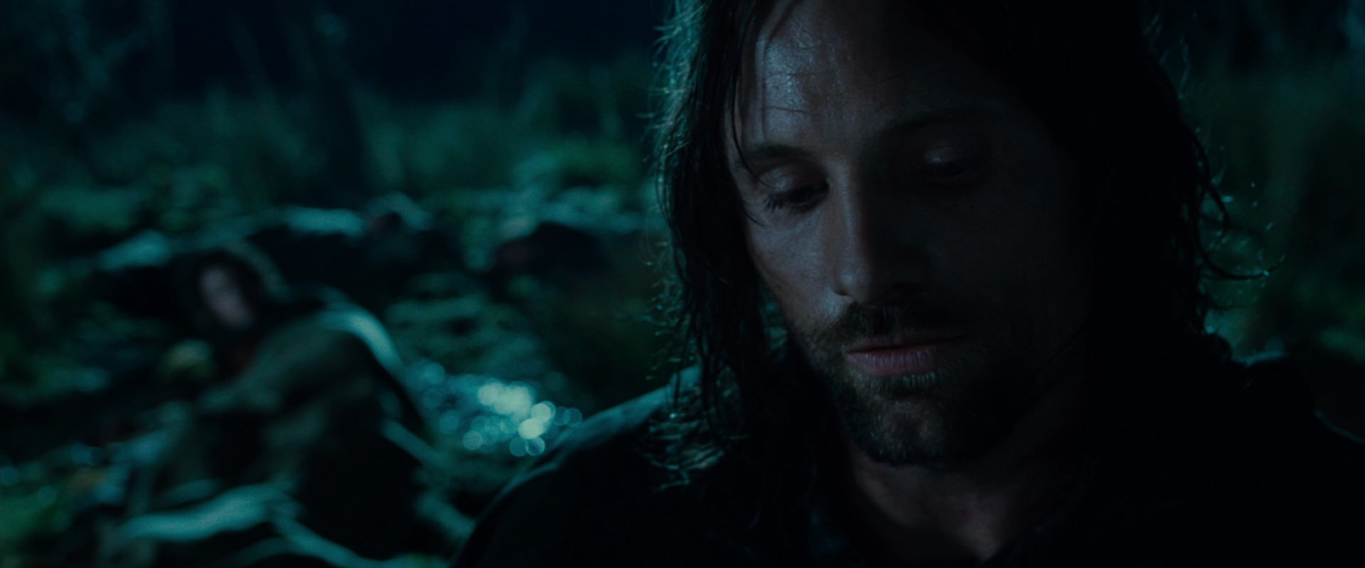 The Lord of the Rings: The Fellowship of the Ring (2001) screencap 7956