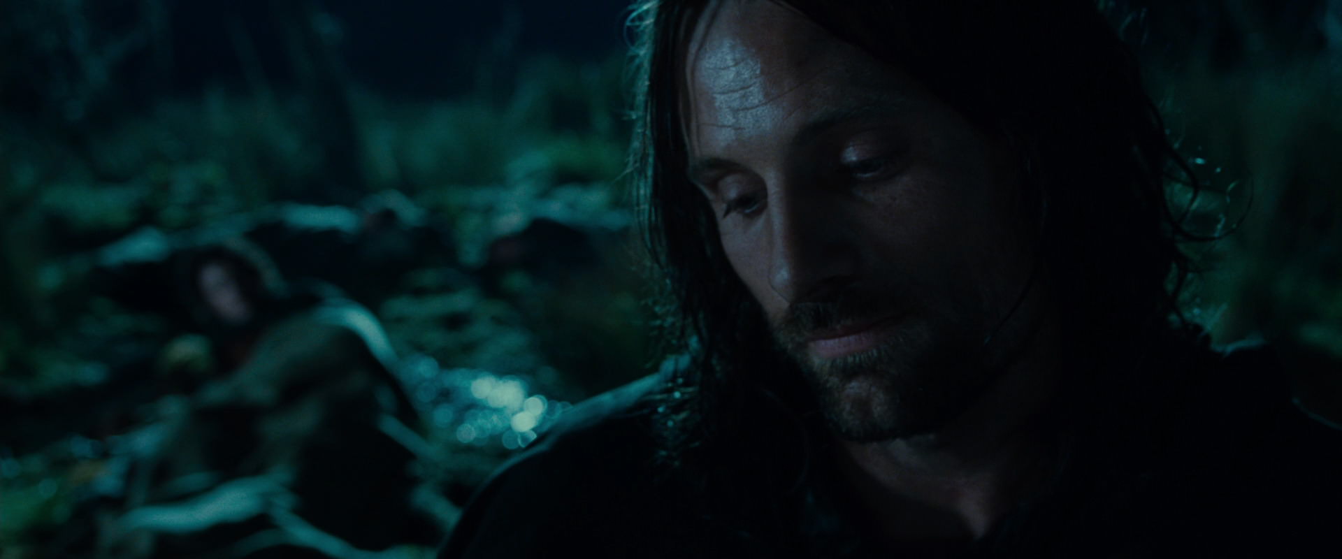 The Lord of the Rings: The Fellowship of the Ring (2001) screencap 7980