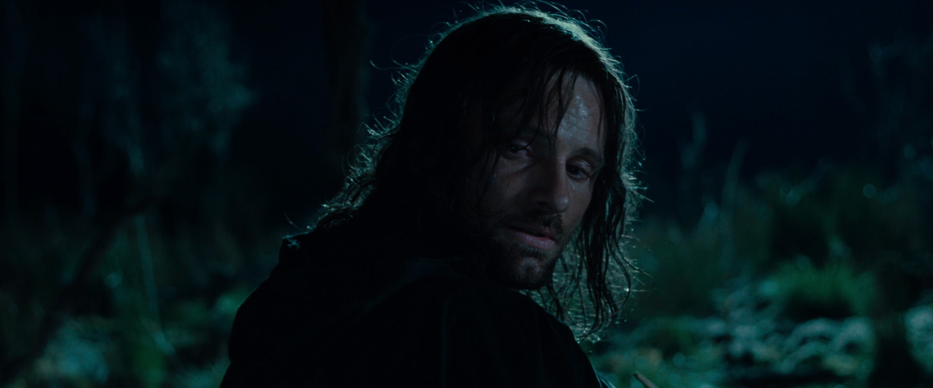 The Lord of the Rings: The Fellowship of the Ring (2001) screencap 7989