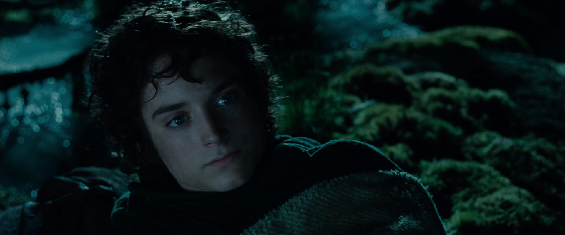The Lord of the Rings: The Fellowship of the Ring (2001) screencap 7992