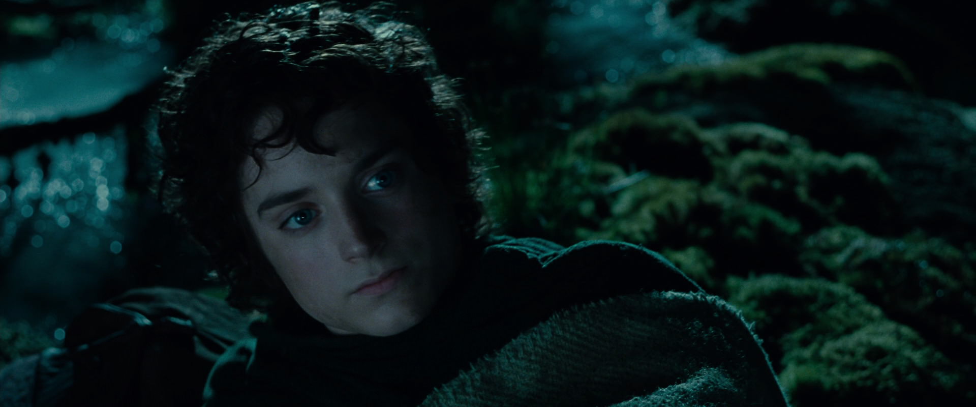 The Lord of the Rings: The Fellowship of the Ring (2001) movie still 7993