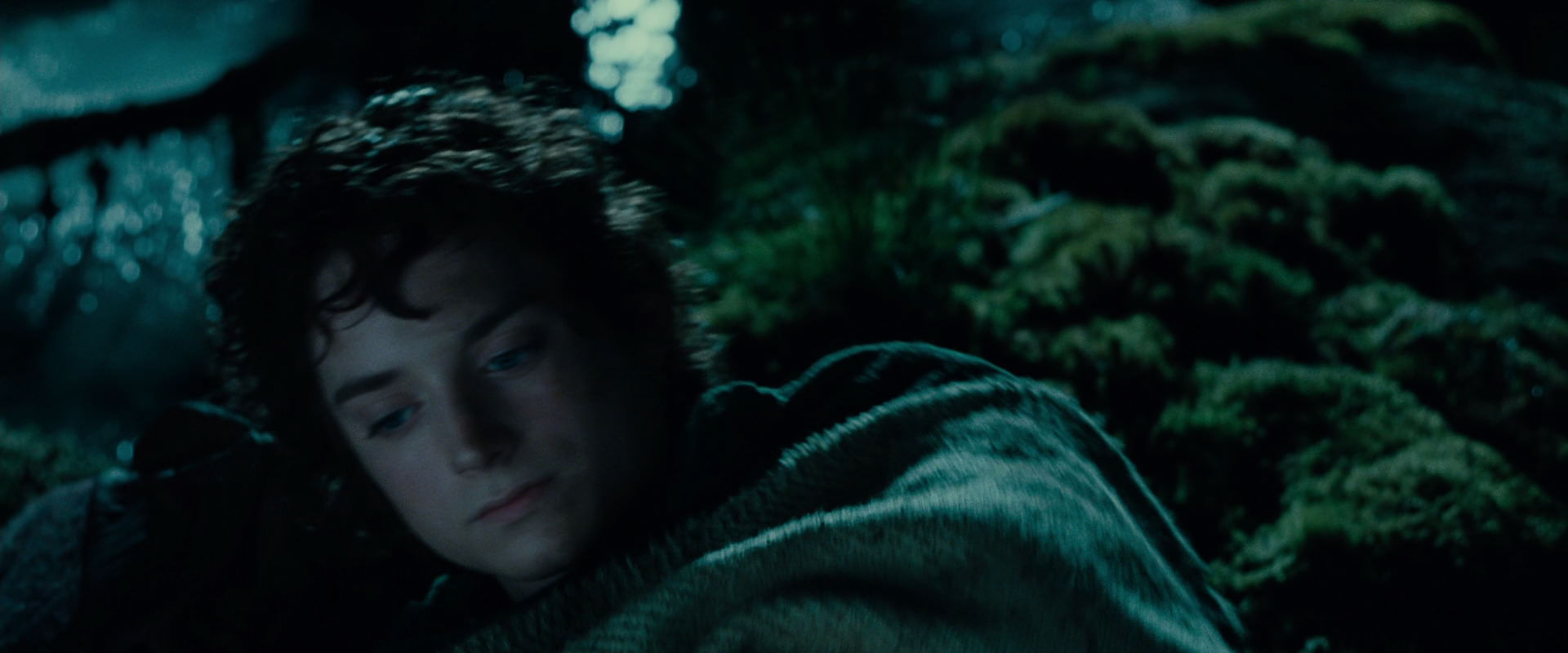The Lord of the Rings: The Fellowship of the Ring (2001) HD screenshot 7994