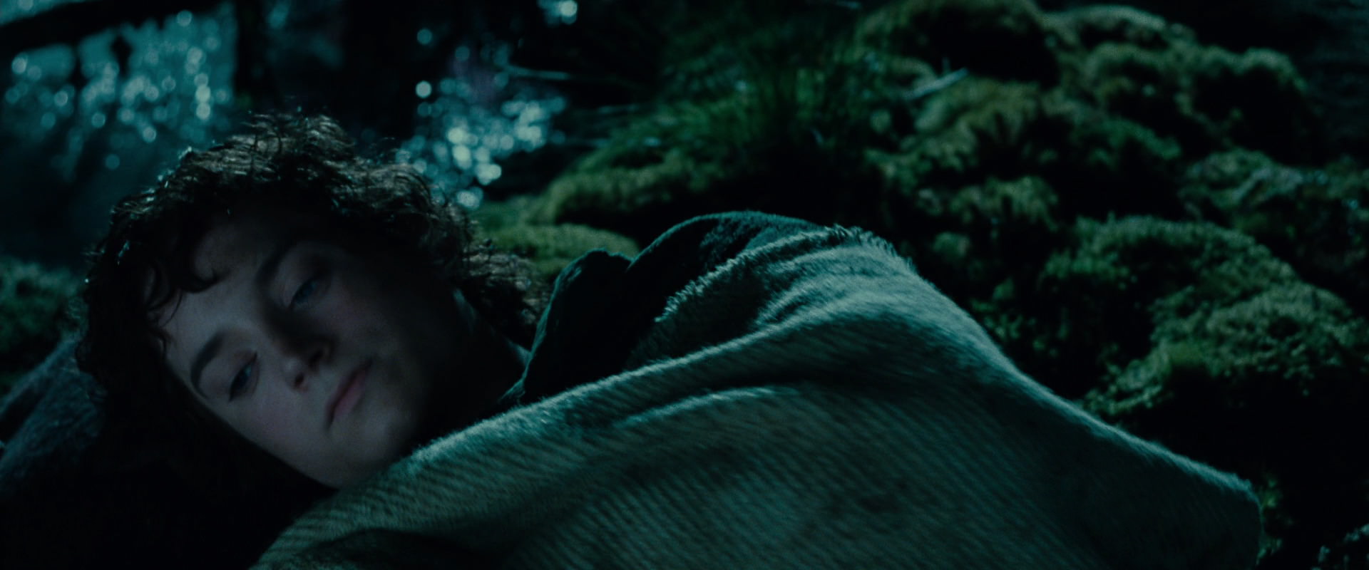 The Lord of the Rings: The Fellowship of the Ring (2001) screencap 7995