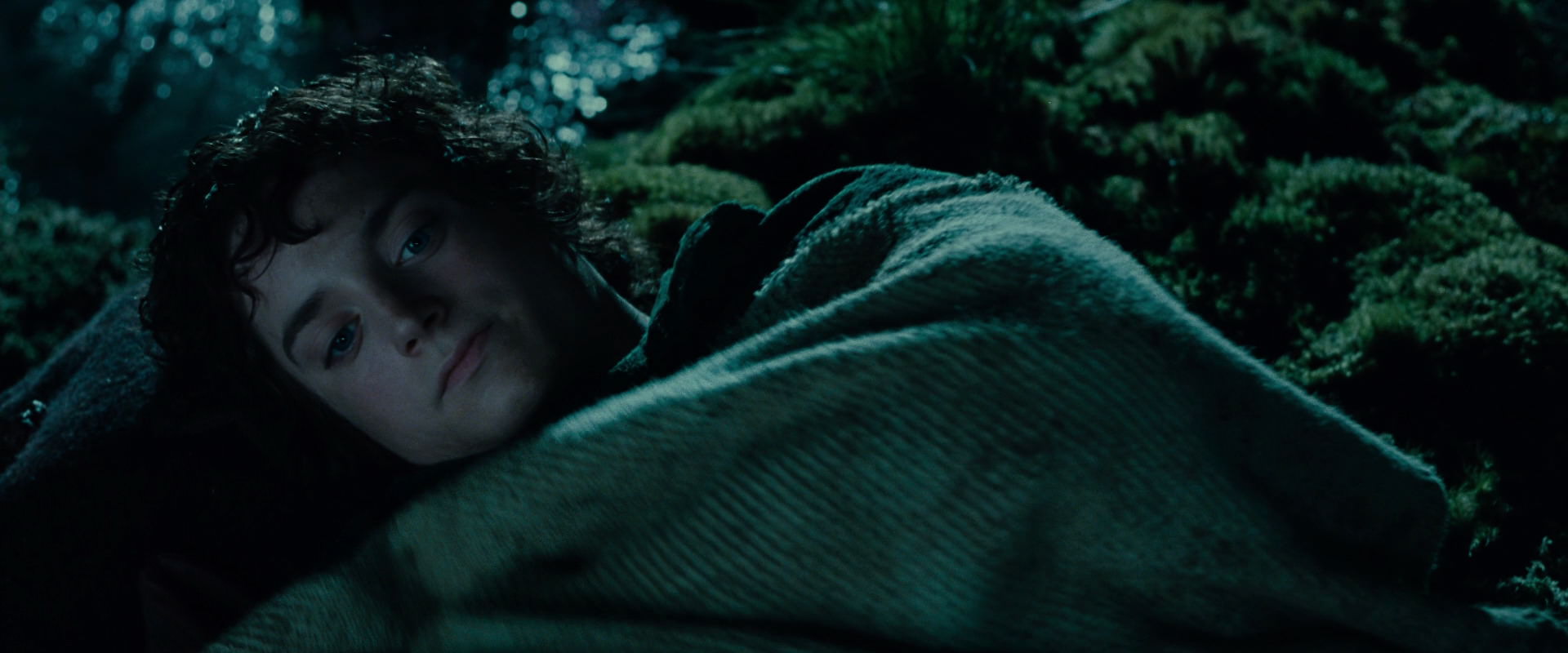 The Lord of the Rings: The Fellowship of the Ring (2001) movie still 7996