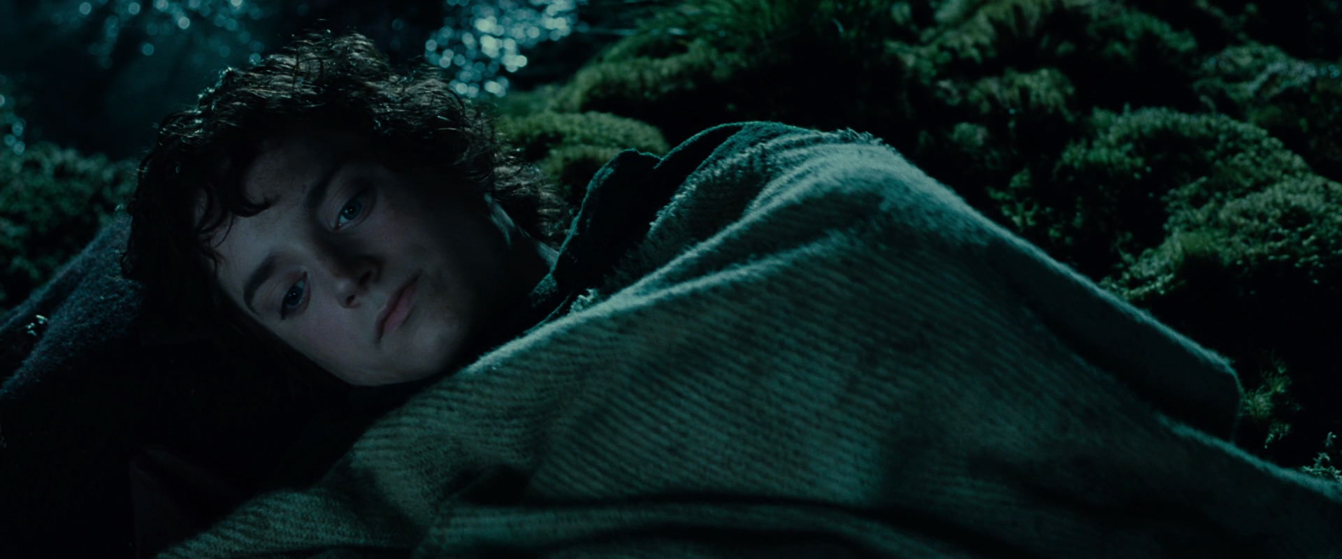 The Lord of the Rings: The Fellowship of the Ring (2001) HD screenshot 7997