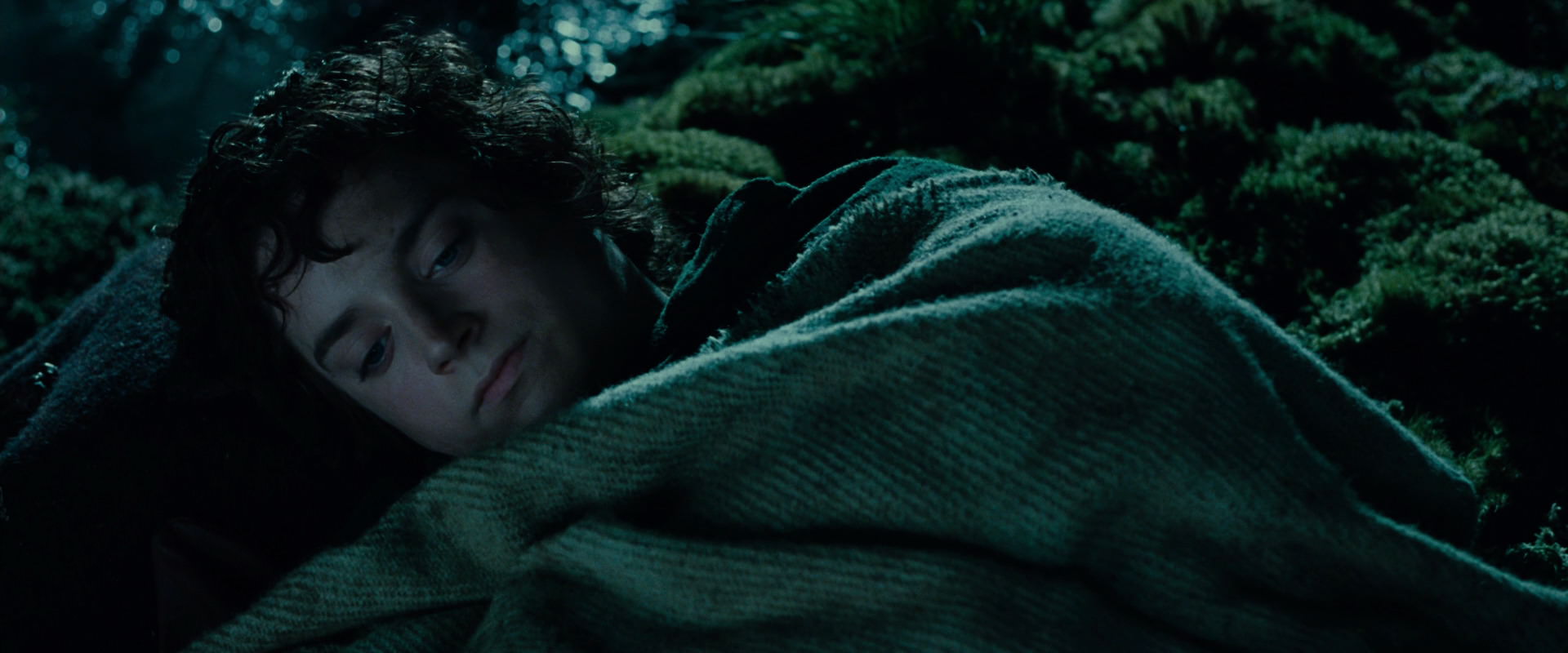 The Lord of the Rings: The Fellowship of the Ring (2001) screencap 7998