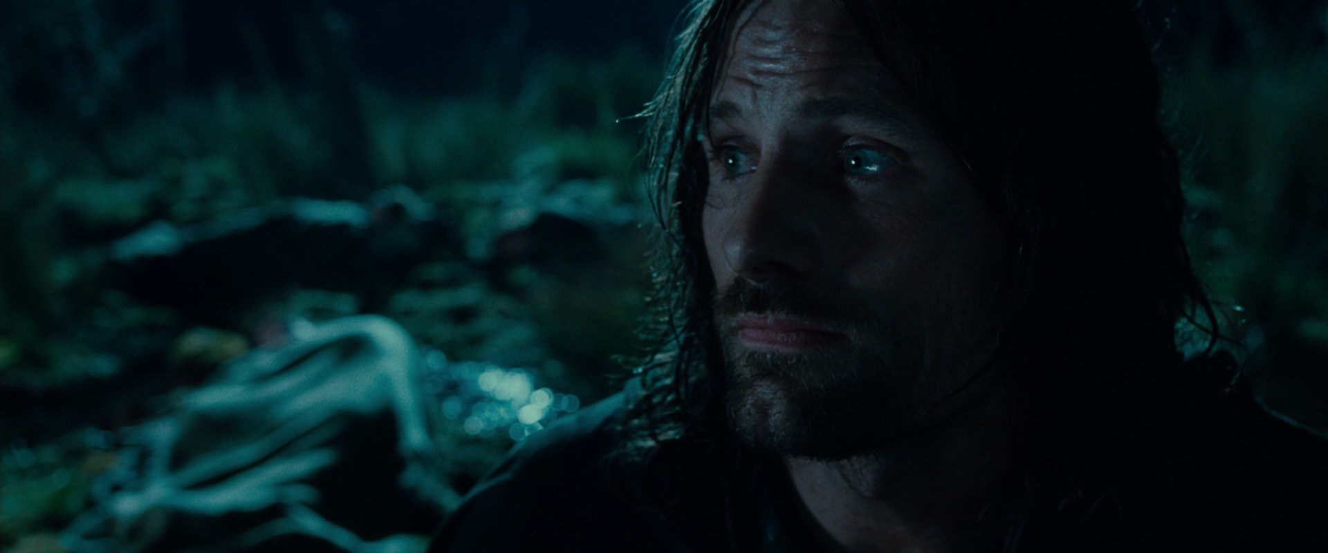 The Lord of the Rings: The Fellowship of the Ring (2001) screencap 8004
