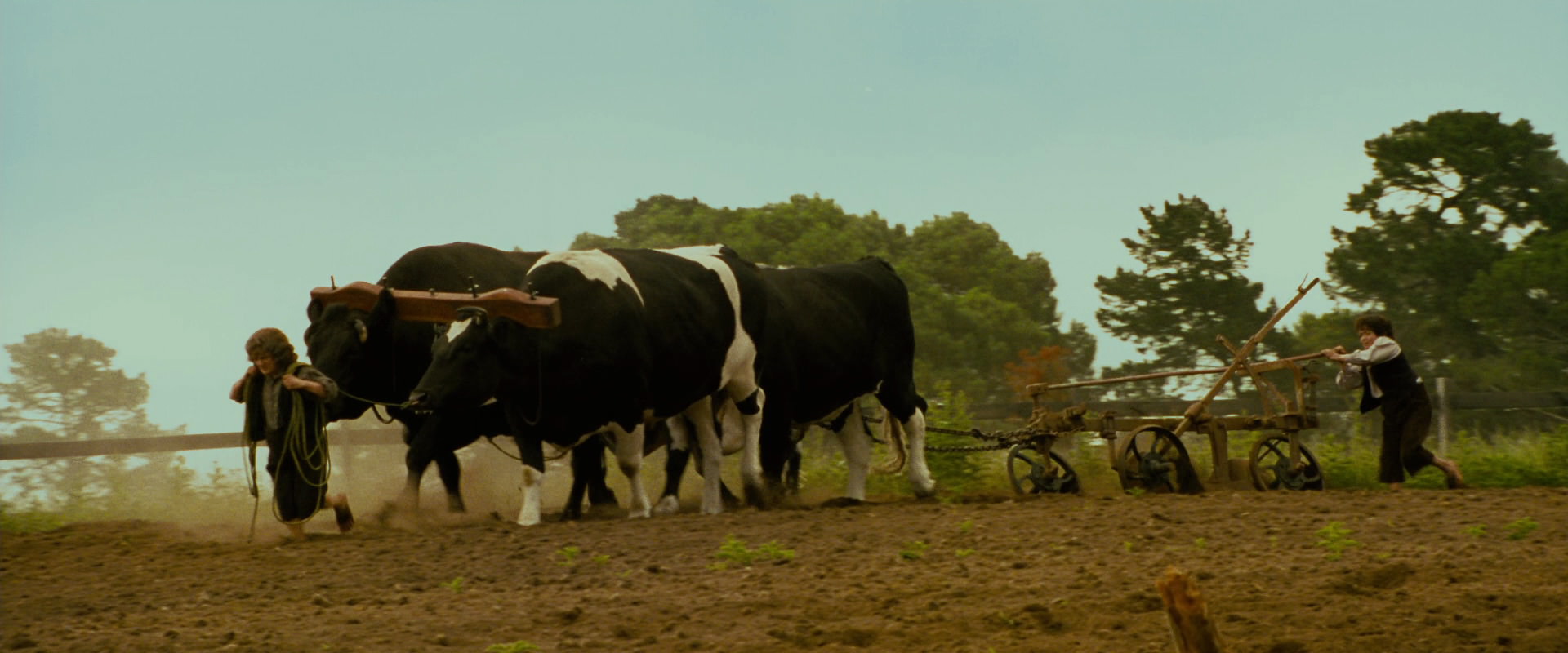 The Lord of the Rings: The Fellowship of the Ring (2001) screencap 804