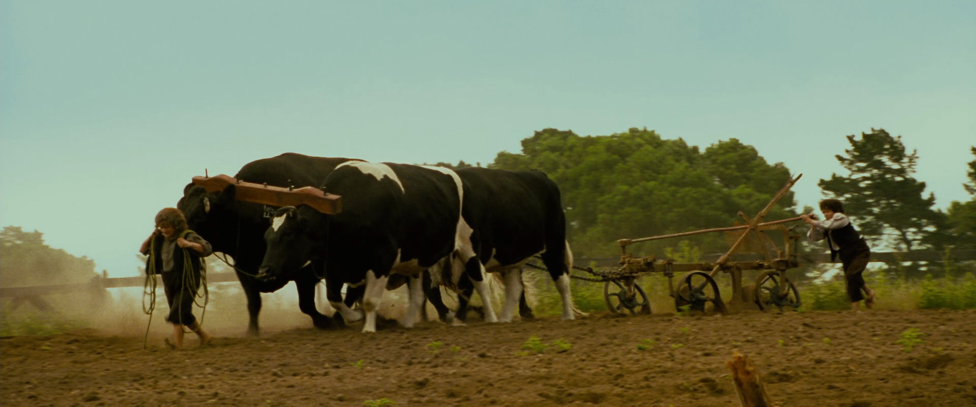 The Lord of the Rings: The Fellowship of the Ring (2001) HD screenshot 806