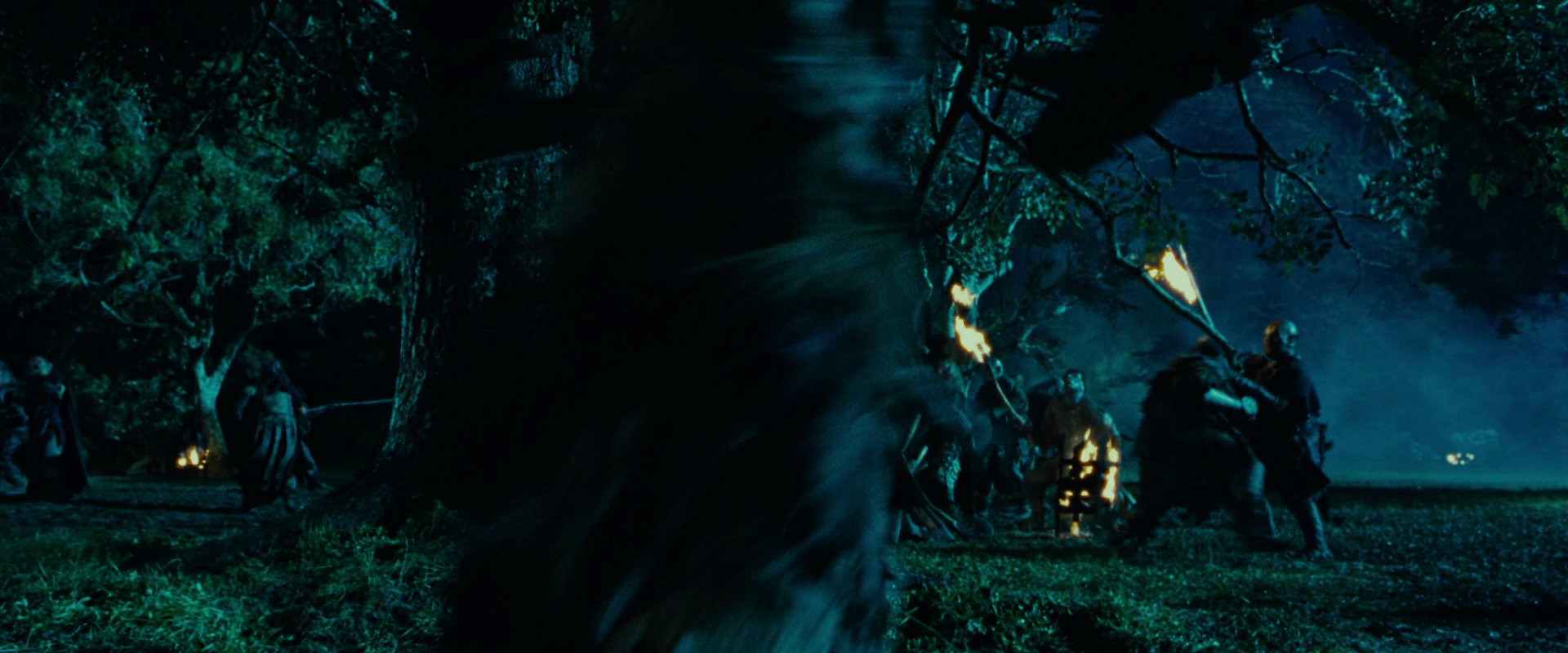 The Lord of the Rings: The Fellowship of the Ring (2001) screencap 8076