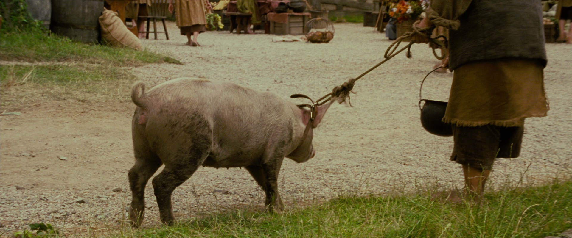 The Lord of the Rings: The Fellowship of the Ring (2001) movie still 808
