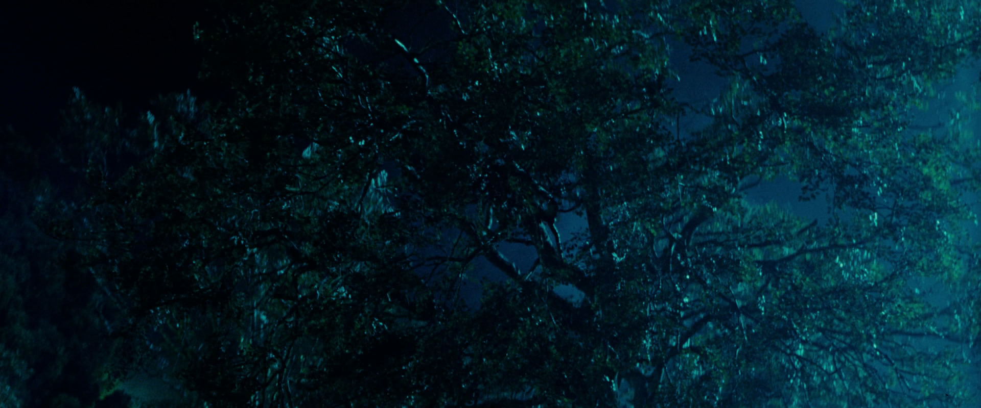 The Lord of the Rings: The Fellowship of the Ring (2001) movie still 8086