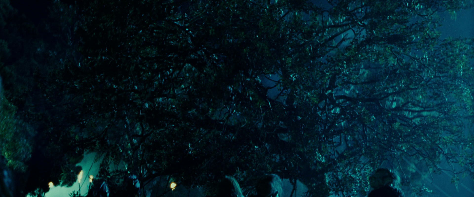 The Lord of the Rings: The Fellowship of the Ring (2001) HD screenshot 8087