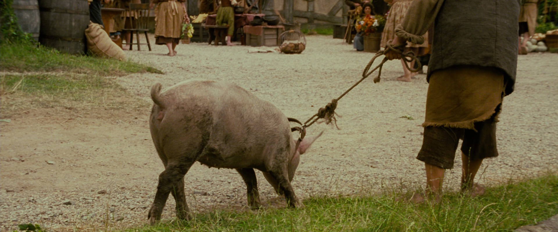The Lord of the Rings: The Fellowship of the Ring (2001) HD screenshot 809