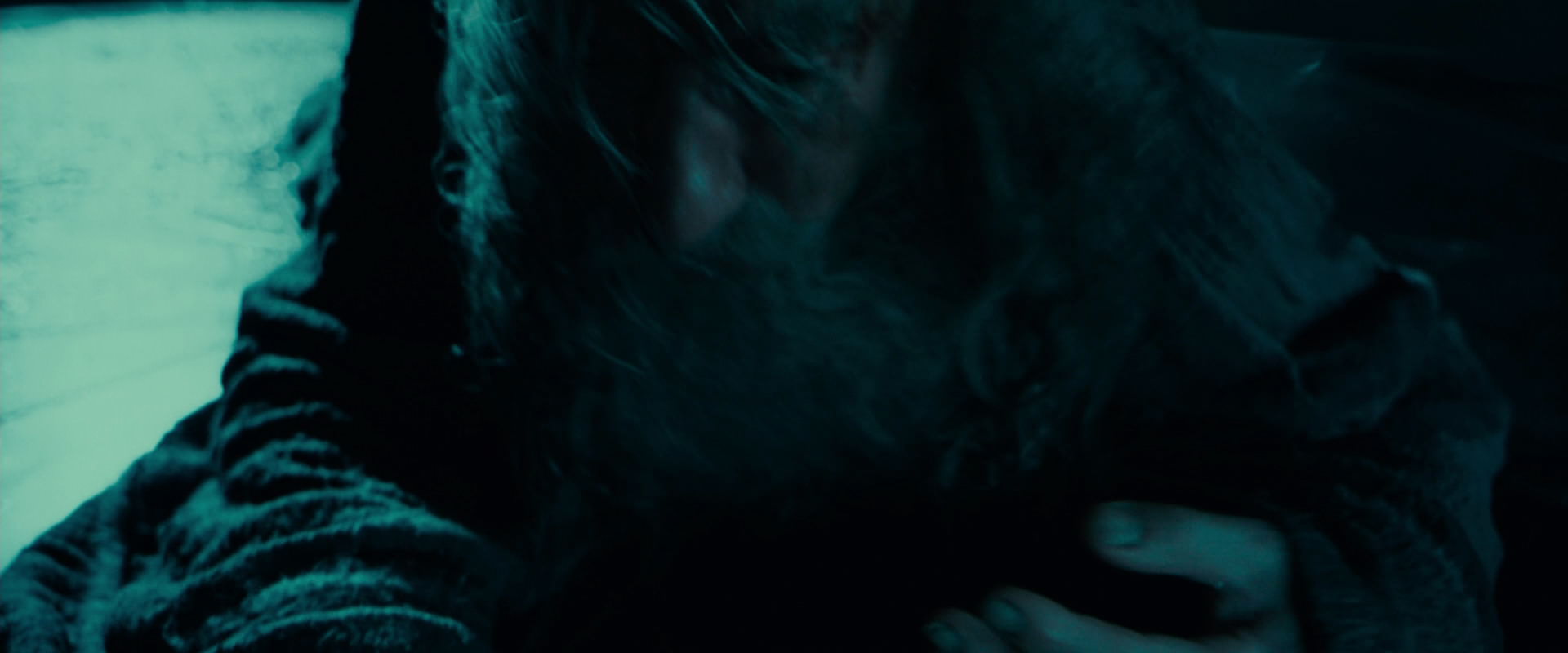 The Lord of the Rings: The Fellowship of the Ring (2001) screencap 8094