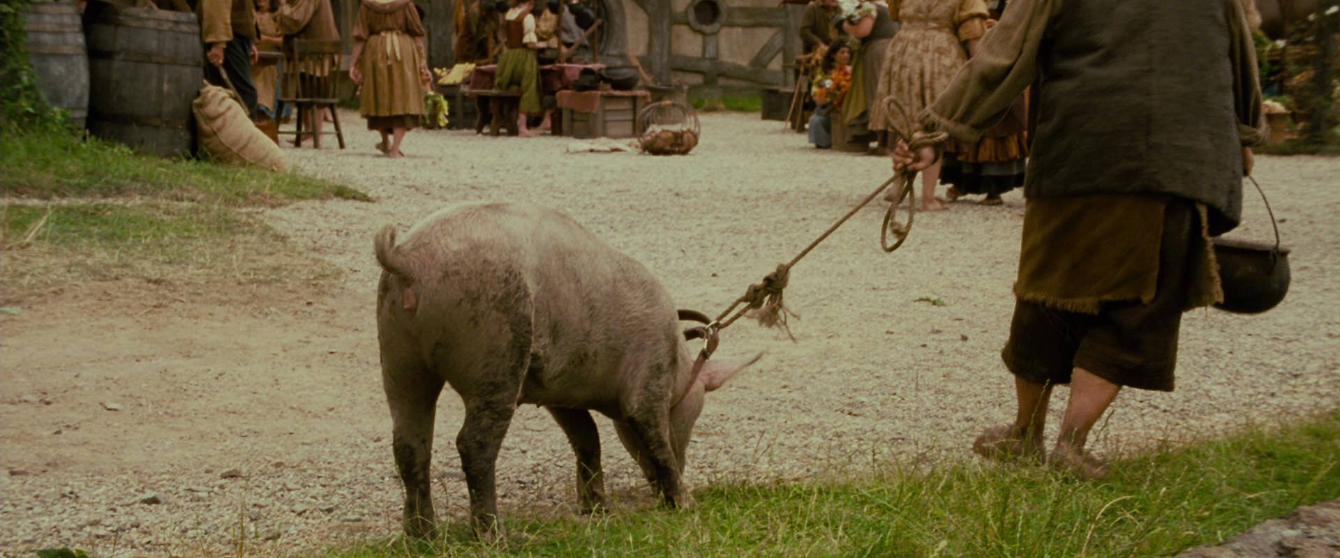 The Lord of the Rings: The Fellowship of the Ring (2001) screencap 810