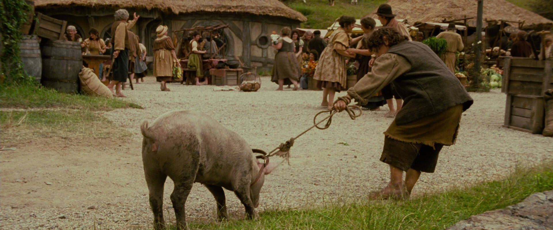 The Lord of the Rings: The Fellowship of the Ring (2001) screencap 813