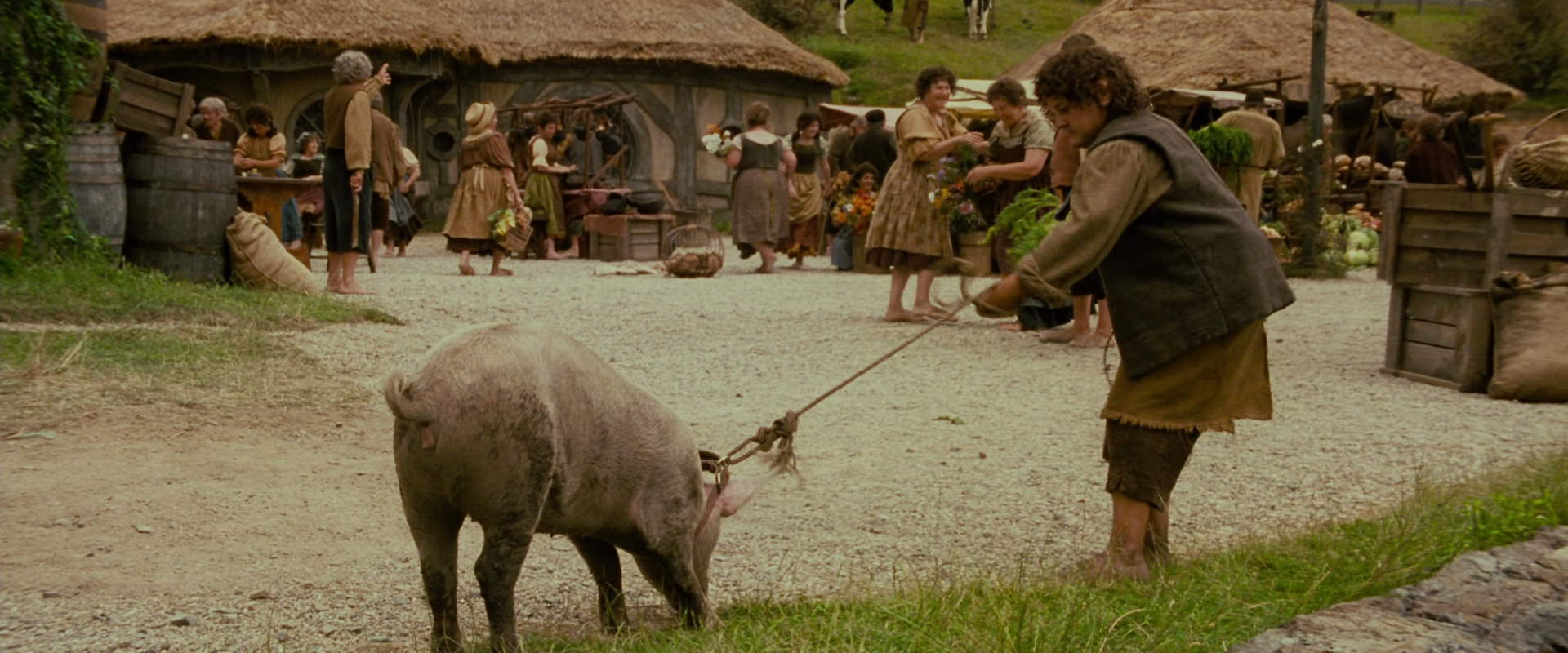 The Lord of the Rings: The Fellowship of the Ring (2001) movie still 814